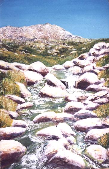 Kosciusko Stream