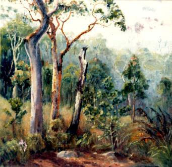 Salamander Bay - Port Stephens NSW - watercolour